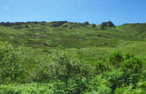 Ca Rifo, casa rural en Asturias, puerta de Somiedo a orillas del río Narcea - Foto 52