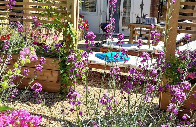 Forest Palms - Foto 17