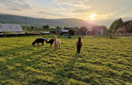 Swallows Nest Guest House - With Hot Tub - Foto 11