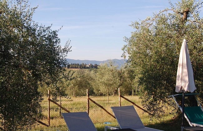 Bio Agriturismo La Spiga D'oro - Photo 1