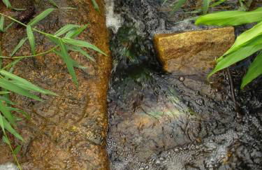 Recanto do Encanto Eco Beach Stay - Foto 8