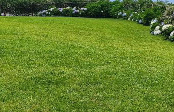 Recanto das Florenças - Casa 3 - Photo 10