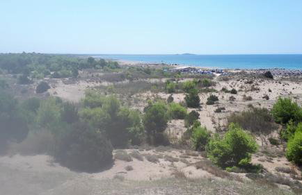 Villa Dunes 350m from the sandy beach - Foto 57