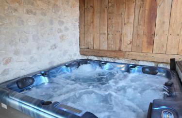 Suite de l'olivier au sein du Mas au Coeur de la Provence&SPA - Foto 27