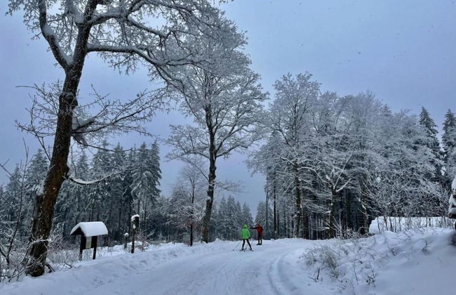 Holiday Home in Suhl Near Rennsteig Trail - Foto 33