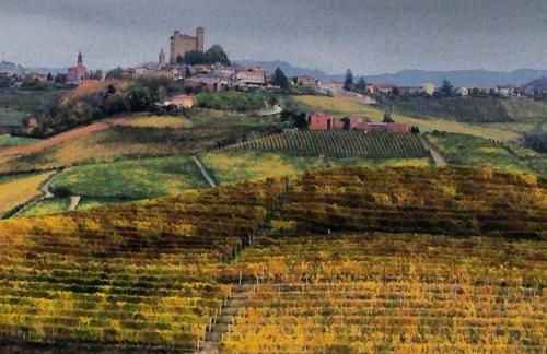 Cascina Maina - Foto 17