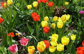 Ferienwohnung Nörpel - Foto 15