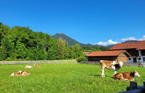 Langkaspar junior - Foto 8