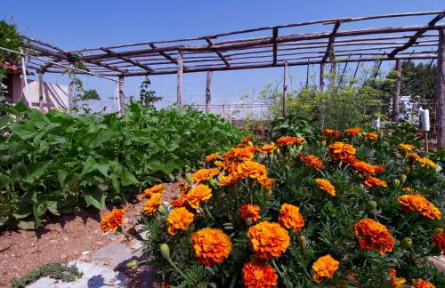 Corte Breda Agriturismo Bed & Breakfast - Foto 117