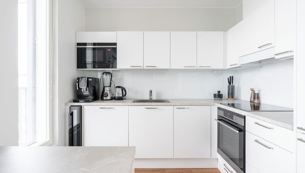 Luxurious 1BR Penthouse with Balcony - Foto 5, Cocina privada