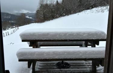 Refuge au coeur des Vosges - Foto 46