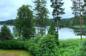 Szeroki Bór oaza w Puszczy z Sauną, Banią i Jacuzzi - Foto 42