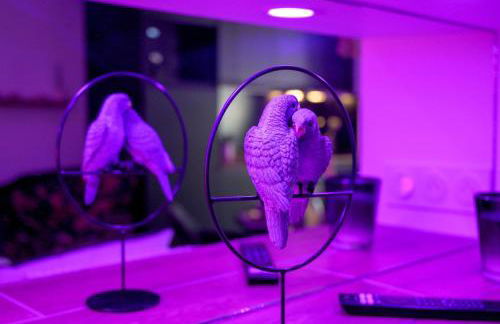 L'Inséparable - Jacuzzi - Terrasse - Parking - Vélos - Foto 38