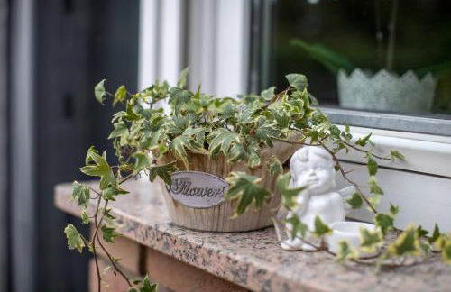 Ferienwohnung Landhaus Swisttal - In der Nähe Phantasialand Brühl und Palmenparadies Therme Euskirchen - Foto 5