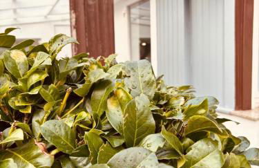 Ferienwohnung Dreiflüsse - Foto 26