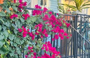 Charming Creole Cottage near French Quarter - Foto 3