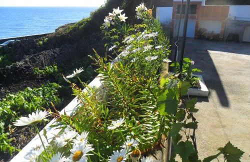 Adega Ilhéu - Photo 25