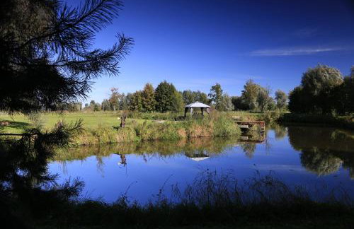 Agroturystyka Żuławiaczek - Foto 37