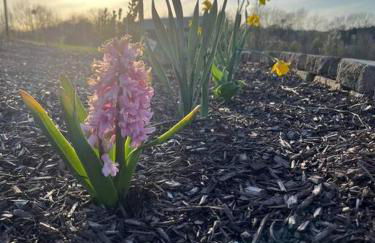 Bourbon Barrel Cottages #1 of 5 on Kentucky trail - Foto 6