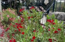 Ferienhaus Dalmatien - Vrgorac Villa Oasis of Peace - Photo 38