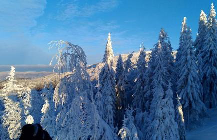 Pokoje z Widokiem na Szczyrk - Foto 6