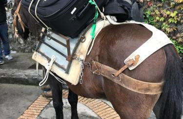 Maison Rosa - Foto 51