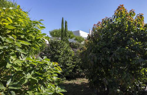 Casa La Breña La Palma - Foto 17