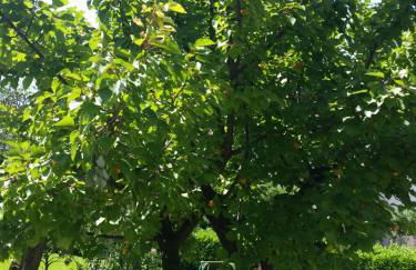 Casa Vittoria - Foto 42