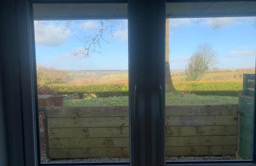 Field View - Foto 22