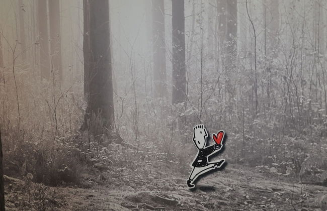 Holiday Home in Durbuy With Pool & Sauna - Foto 32