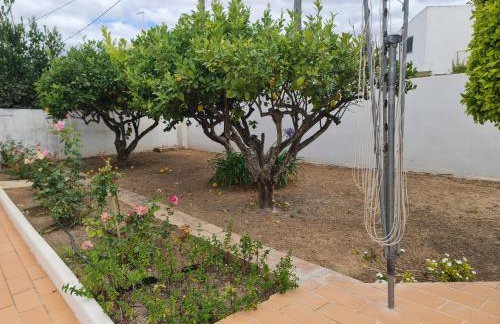 Casa dos Arcos - Foto 24