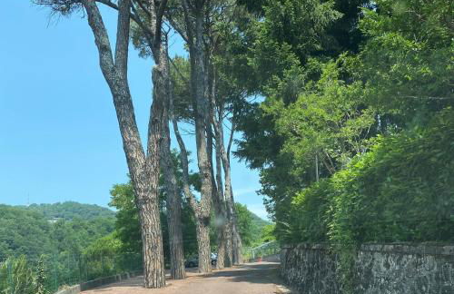 Le Foglie di Lubo - Foto 19