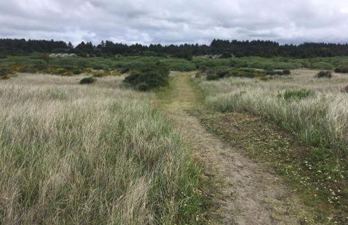 Surfcrest Resort - Foto 15