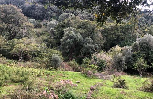 Maison typique Corse écologique - Photo 34