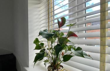 Aspen Villa, Apsley Station - Foto 26