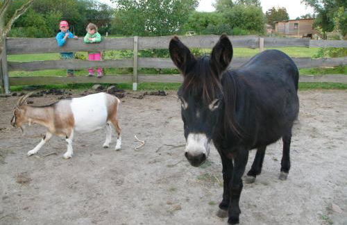 Ferienwohnanlage Jan - Foto 8