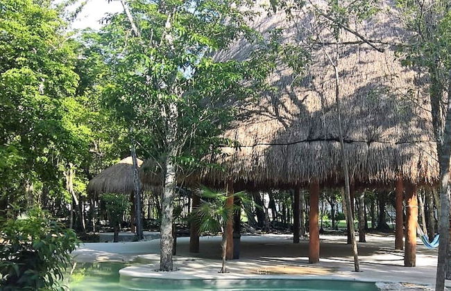 Tu Casa Condos - Photo 26