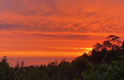 Ocean Breeze Haven Sunset & Pool La Jolla - Foto 67