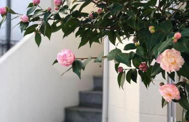 Studio Douillet Hypercentre 12 min de Paris - Foto 12