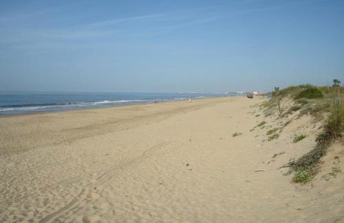 Islantur Ipanema - Photo 22