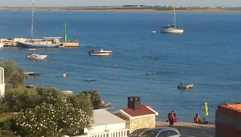 New Kosljun Apartment short walk to Beach - Foto 2