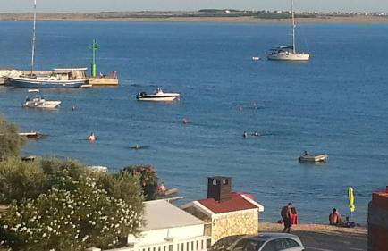 New Kosljun Apartment short walk to Beach - Photo 2