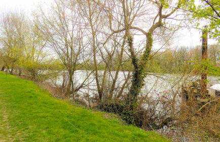 Appartement T2 au Calme - WiFi rapide, Parking & Bureau - Foto 7