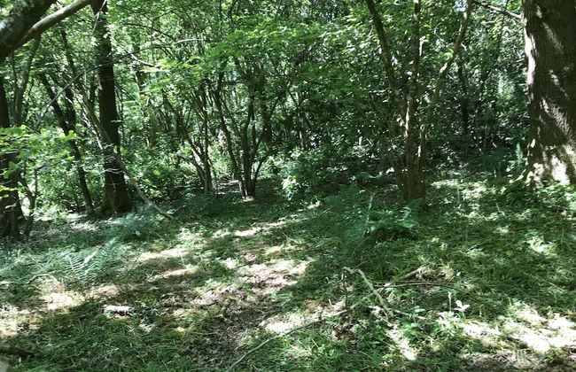 Private and Secluded Cabin in Rowfant - Foto 4