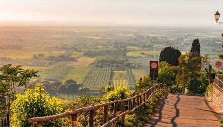 CasaZebe Donoratico - Foto 5