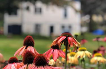 The Craftsman Farmhouse with Modern Flair - Photo 32