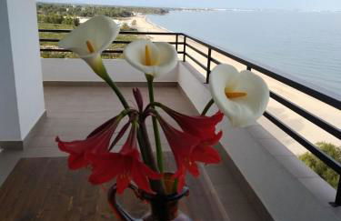 Mediterrani - Primera linea de mar - Foto 1