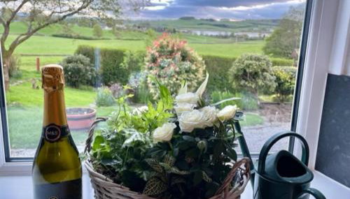 AIRDSIDE COTTAGE - Photo 4