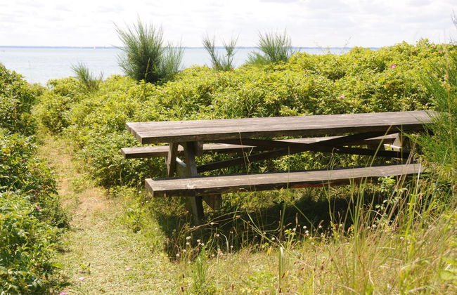 "Kalv" - 75m from the sea - Foto 11