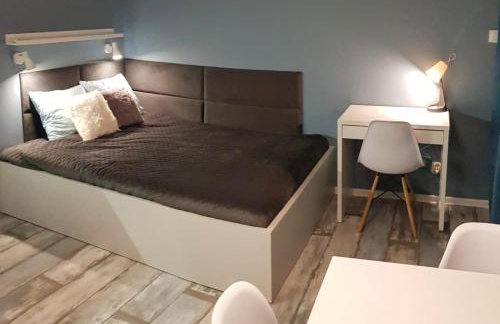 Baltic Studio 45 - Photo 4